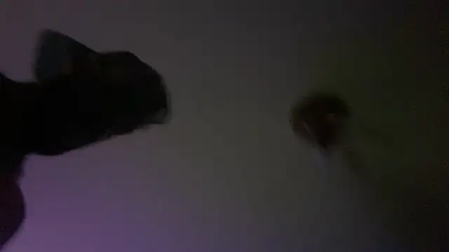 Guyst049 webcam