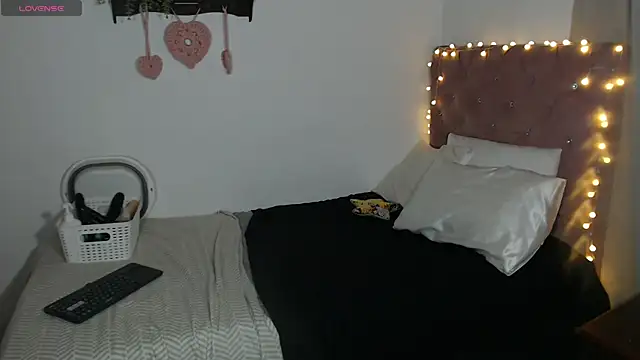 Karlinlive webcam