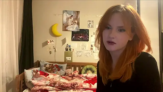 DynaLoom webcam