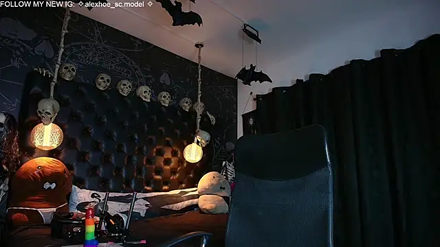 AlexHoe_ webcam