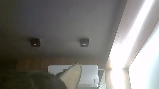 SkinnyKitten webcam