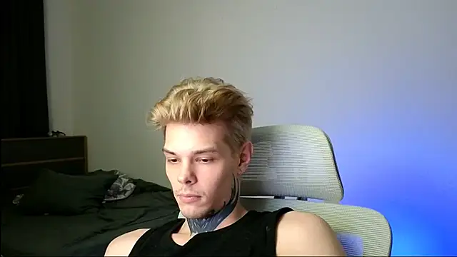 DENIS_HERE webcam