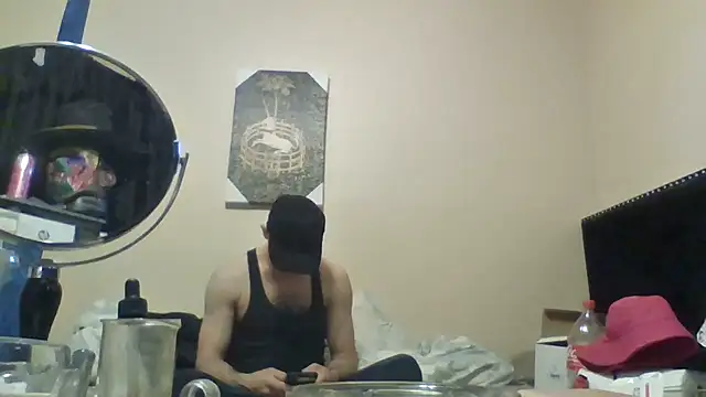 hailzeffn webcam