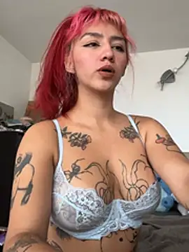 nth-li webcam