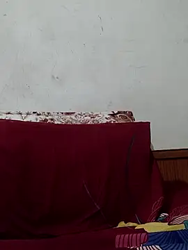 lucid6699 webcam