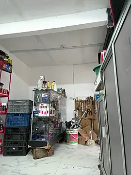 paul22cm- (Ask my age) - Suck my balls