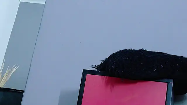 cassandrawhite (T young) - 🔥 Small plug play at 666 #BootyFun