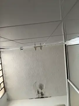 MiaCamille_
