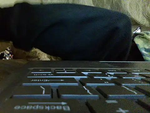 FROL83 webcam