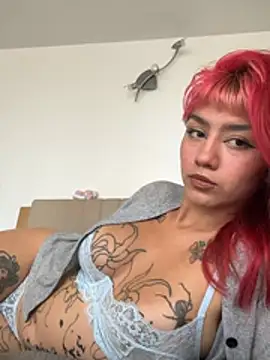 nth-li webcam