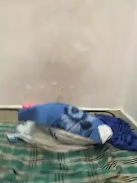 nikkyguddi live sex cam