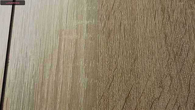 NoFace_Model webcam