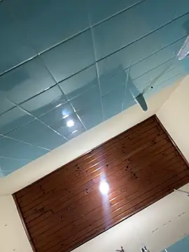 Gatitacarlita webcam