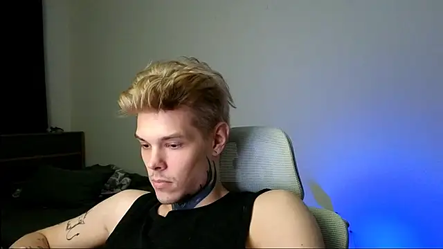 DENIS_HERE webcam
