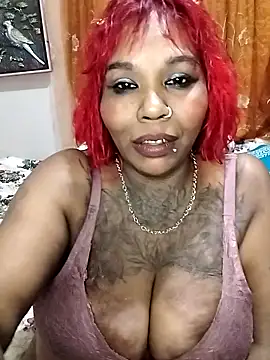 Javel123 webcam