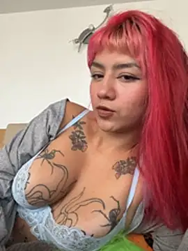 nth-li webcam