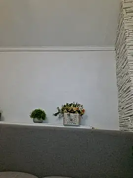 siamelton webcam