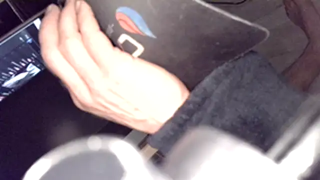 Silverhippo webcam