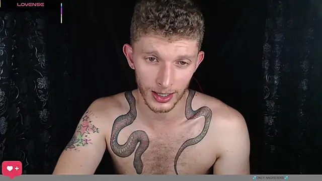 andrewxbi