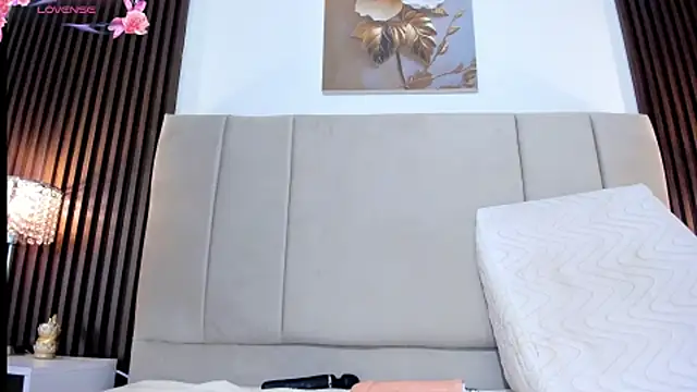 _MiLa_Dyva webcam