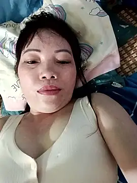 Sana-vn webcam