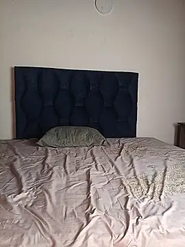 hot_fusion webcam