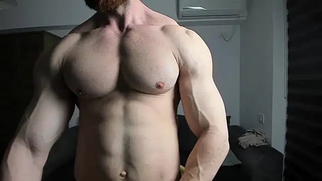ZkkBlitz webcam