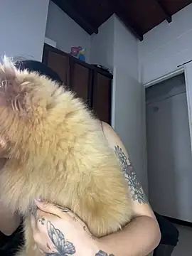 Mia__Gray webcam