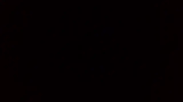 evalusion webcam
