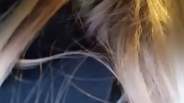 pinkpinkpinkpinkdoll webcam