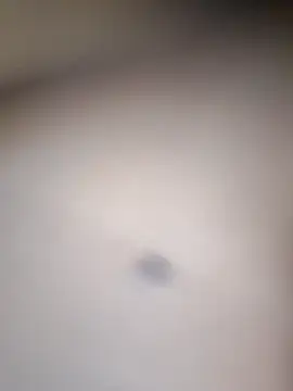Itsraniarti webcam
