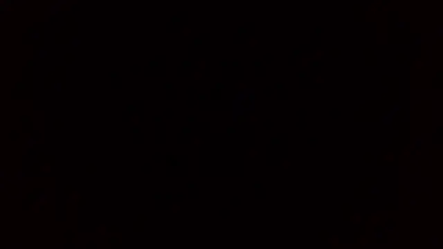 evalusion webcam