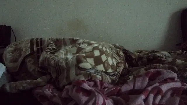 Suger-Boobs webcam