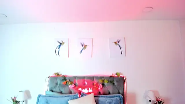 Cat__Moon__ webcam