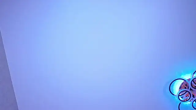 PerryKitty webcam
