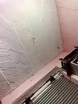 Deepjakolirr webcam