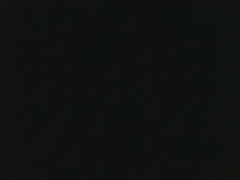 Notidoll