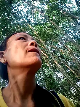 toyo_668 webcam