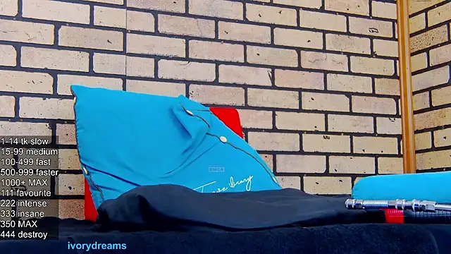 IvoryDreams webcam