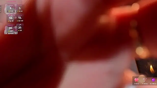 Kitty_fox_b webcam