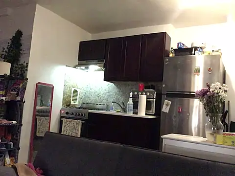 littyleesh1 webcam