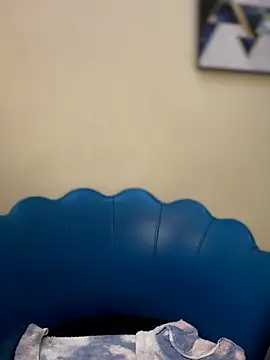 NovaFoxx webcam