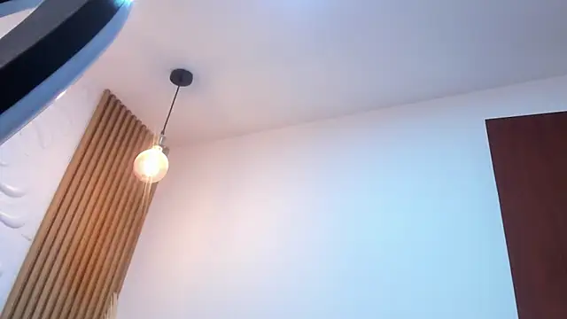 Alice_BMS webcam