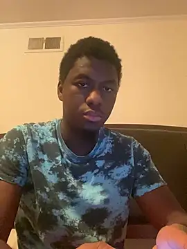 ThickDic28 webcam