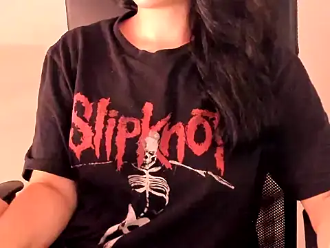 Kriisten webcam