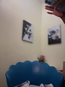 NovaFoxx webcam
