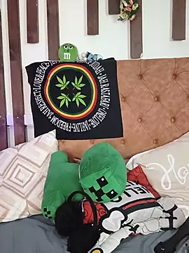 MeowMota_ webcam