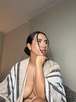 Samispank webcam