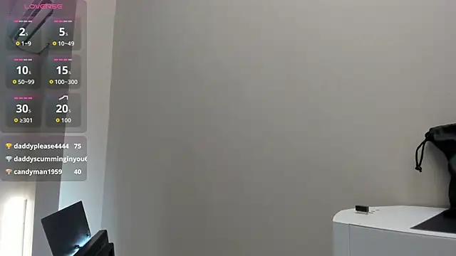 Liastarkk webcam