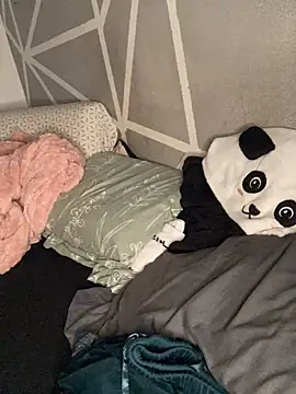 Piggiteablacktea webcam